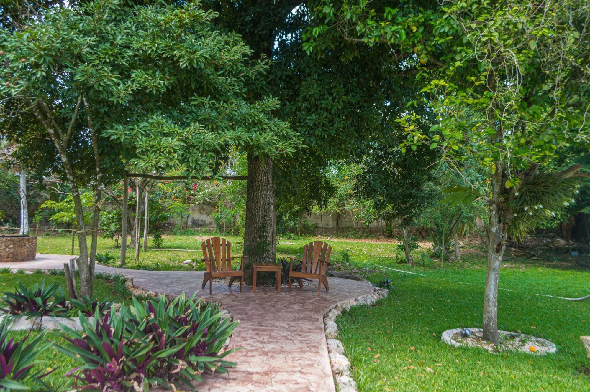 Hotel Boutique Casa Xaan Valladolid  Extérieur photo