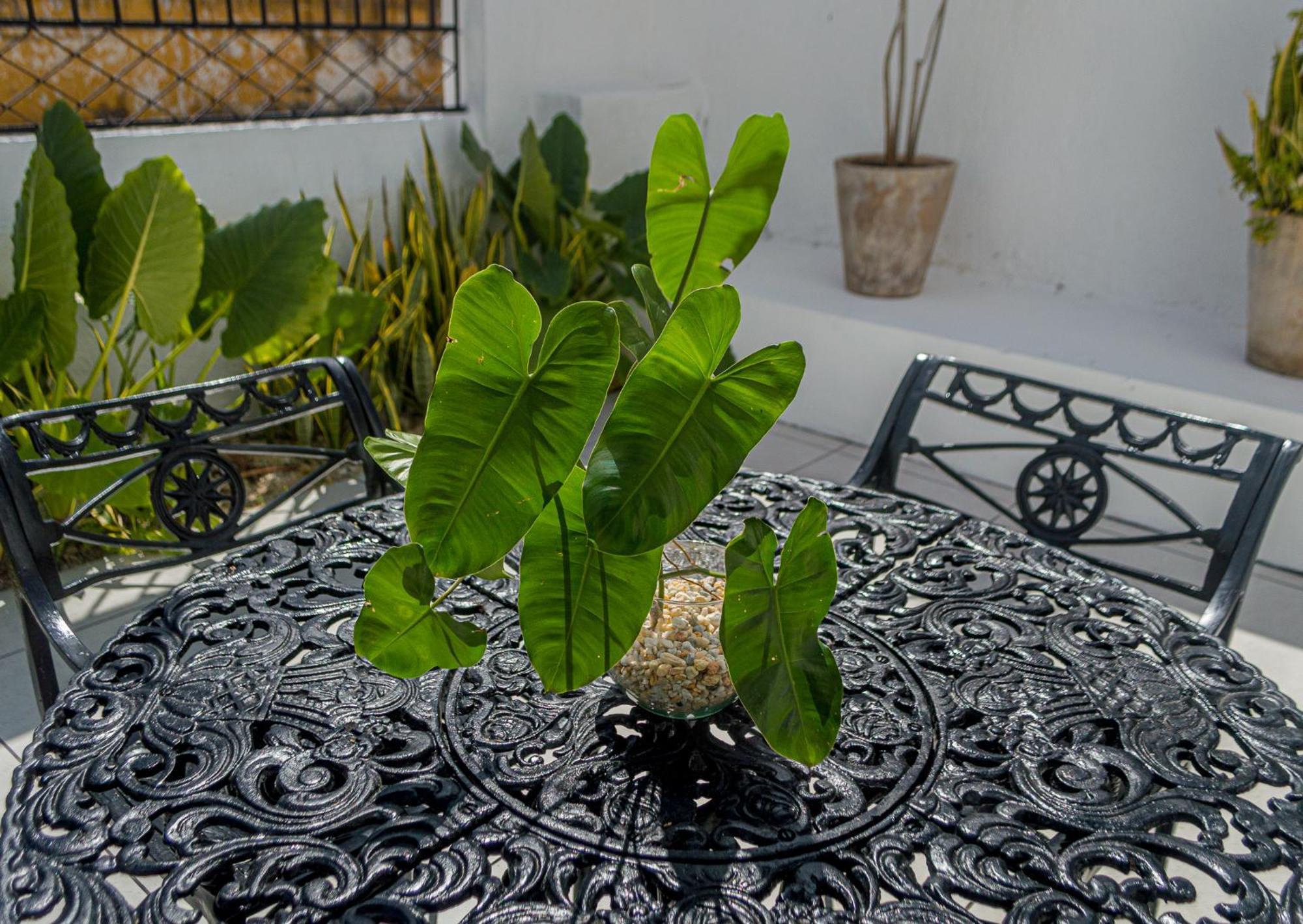 Hotel Boutique Casa Xaan Valladolid  Extérieur photo